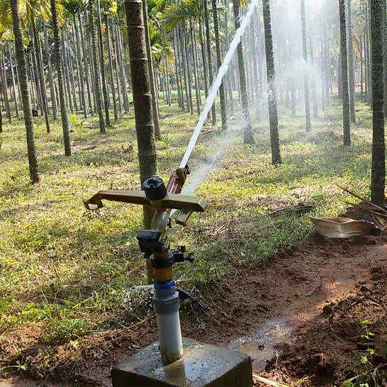 VARIETIES, SELECTION & PLANTING DETAILS